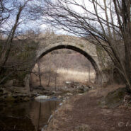 Caminant pel Ripollés, un pont entrenyable.