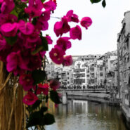 Girona, temps de Flors