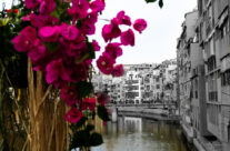 Girona, temps de Flors